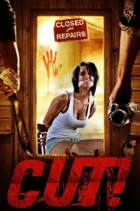 Download Cut! (2014) Dual Audio (English-Hindi) Esubs WEB-DL 480p [300MB] || 720p [815MB] || 1080p [1.9GB]