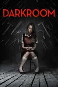 Download Darkroom (2013) Dual Audio (Hindi-English) BluRay 480p [265MB] || 720p [1.1GB] || 1080p [1.7GB]