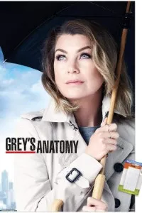 Download Grey’s Anatomy (Season 1-22) [S22E18 Added] {English With Subtitles} 720p Bluray [280MB] || 1080p [1GB]