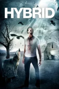 Download Hybrid (2007) Dual Audio (Hindi-English) Esubs WEB-DL 480p [300MB] || 720p [875MB] || 1080p [1.9GB]