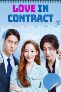 Download Love in Contract (Season 1) Dual Audio (Hindi-Korean) Esub 480p [220MB] || 720p [600MB] || 1080p [1.3GB]