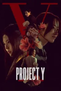 Download Project Y (2025) Dual Audio (Hindi-Korean) Esubs WEB-DL 480p [355MB] || 720p [975MB] || 1080p [2.3GB]