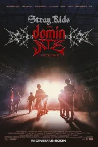 Download Stray Kids: The dominATE Experience (2026) (English Audio) Esubs WEBRip 480p [430MB] || 720p [1.1GB] || 1080p [2.8GB]