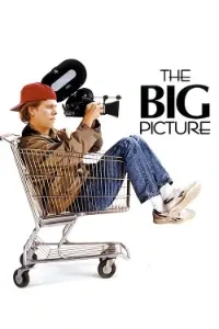 Download The Big Picture (1989) Dual Audio (English-Hindi) Esubs BluRay 480p [335MB] || 720p [915MB] || 1080p [2.1GB]