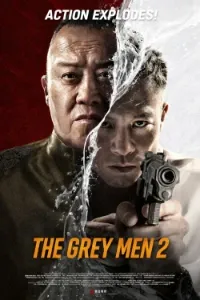 Download The Grey Men 2 (2025) Dual Audio (Chinese-Hindi) Esubs WEB-DL 480p [335MB] || 720p [920MB] || 1080p [2.1GB]