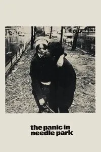 Download The Panic in Needle Park (1971) {English With Subtitles} BluRay 480p [325MB] || 720p [885MB] || 1080p [2GB]